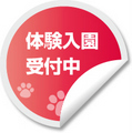 taikenbana.jpg